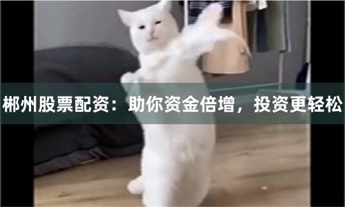 郴州股票配资：助你资金倍增，投资更轻松