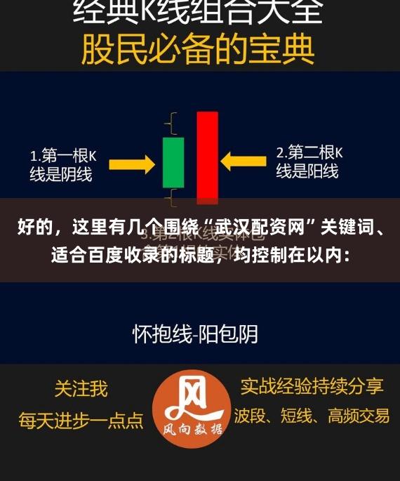 好的，这里有几个围绕“武汉配资网”关键词、适合百度收录的标题，均控制在以内：